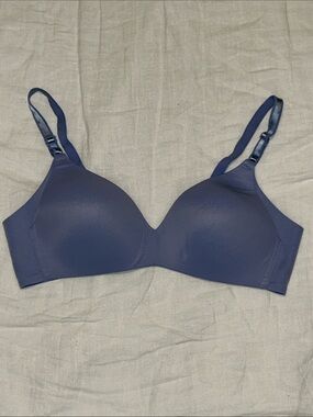 Warners Seamless Periwinkle bra